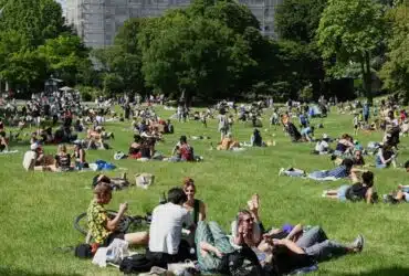 Créer un espace vert à Paris conseils pratiques et inspirations