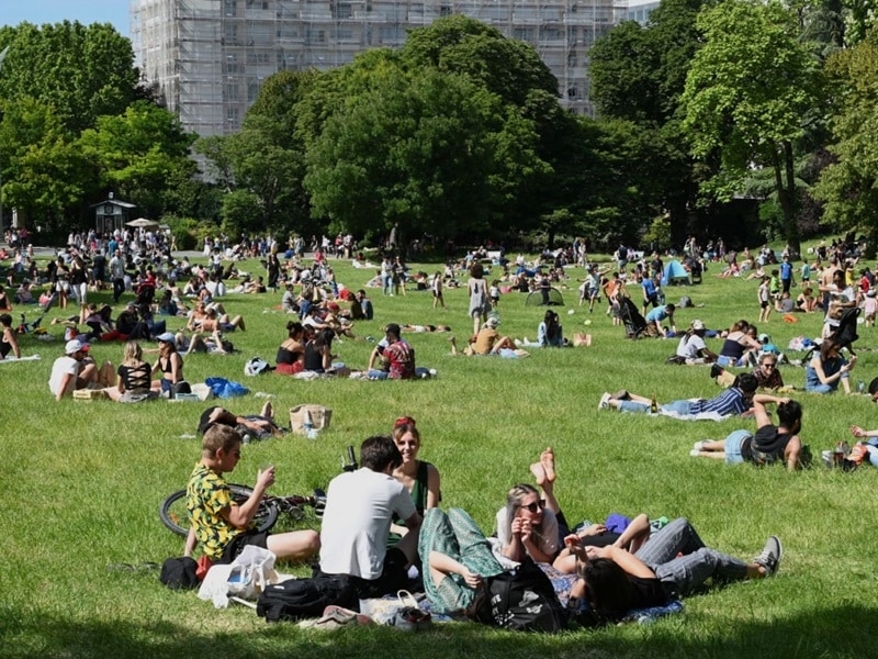 Créer un espace vert à Paris conseils pratiques et inspirations