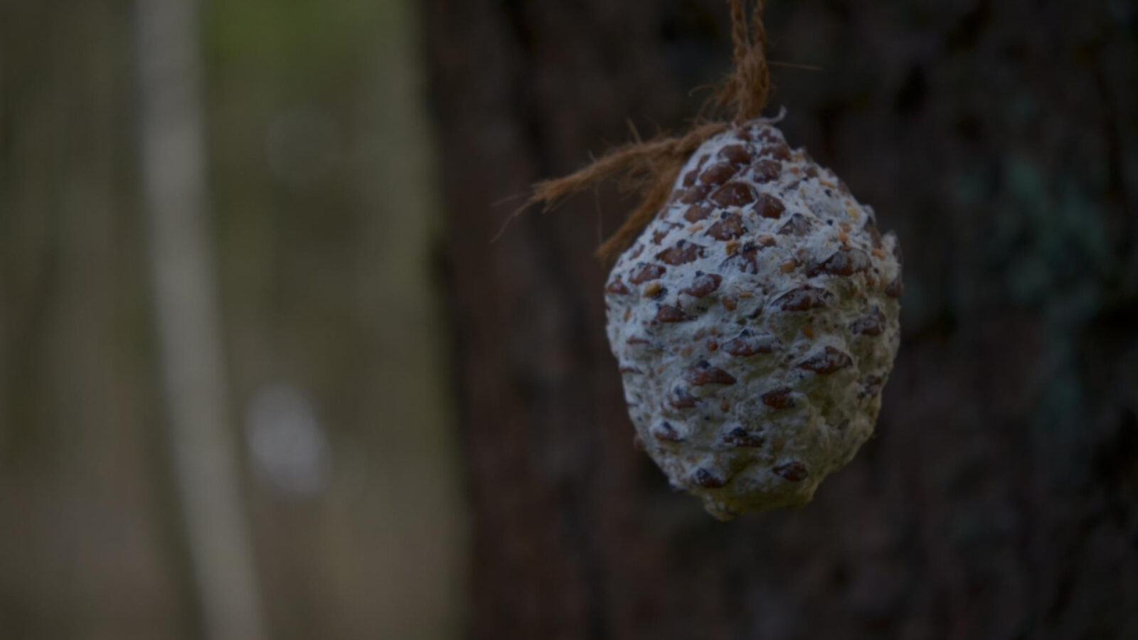 Faut-il avoir peur d'un nid de frelons dans son jardin ?